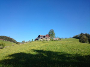 BIO-Bauernhof Kurzeck, Göstling An Der Ybbs, Österreich